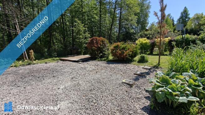 Działka ROD Biała Brzoza