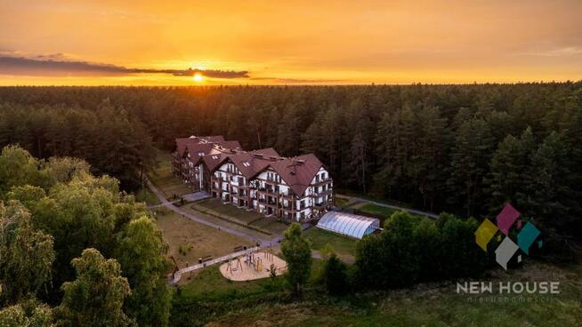 Apartament z widokiem na las