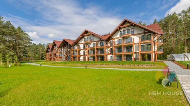 Apartament z widokiem na las