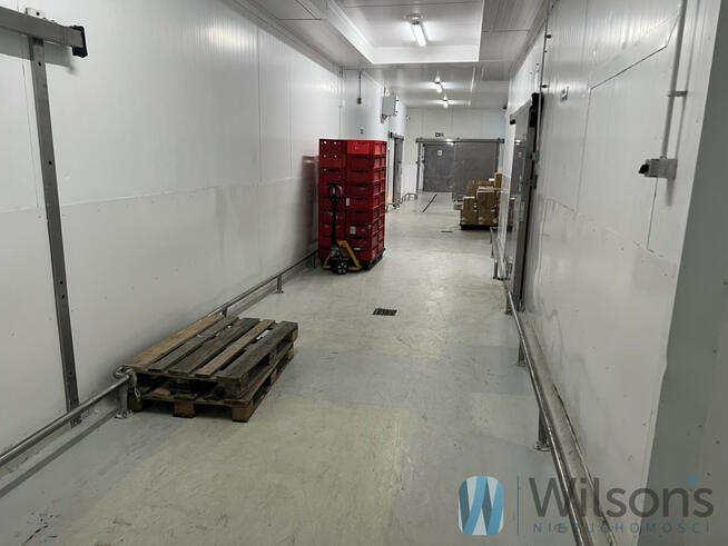 Lokal użytkowy Nowe Lipiny gm. Wołomin, Szosa Jadowska