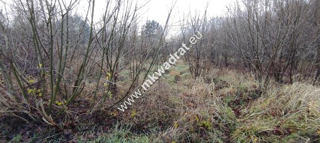 ⭐⭐⭐⭐ Działka Budowlana 1122 m Budy Grzybek ⭐⭐⭐⭐