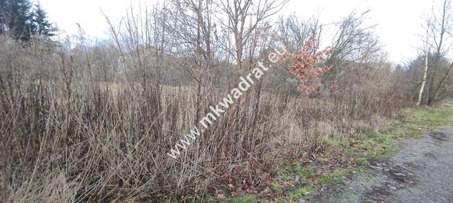 ⭐⭐⭐⭐ Działka Budowlana 1122 m Budy Grzybek ⭐⭐⭐⭐