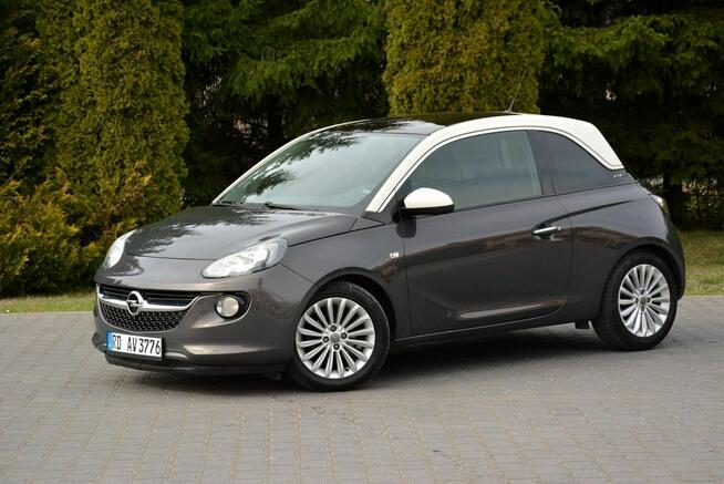 Opel Adam Ledy Klimatronic Panorama Duże Radio Funkcja City Grz.kierownica