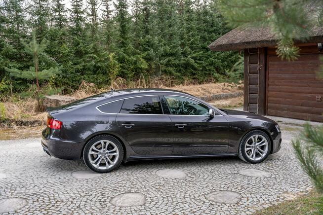 Audi S5 / 3.0 TFSI 333KM / V6 Kompresor / Po serwisie / Quattro S tronic / FV