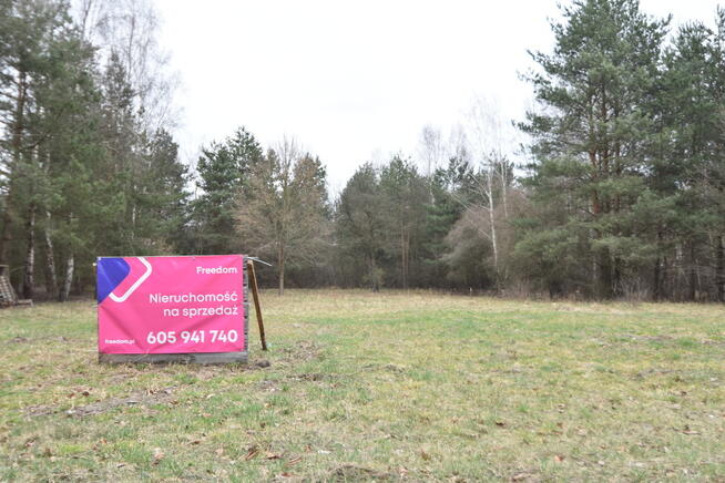 Piękna działka wsród zieleni lasów.