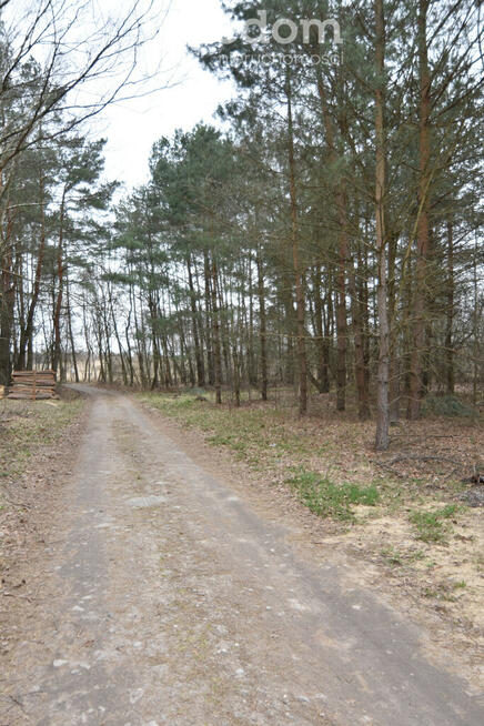 Piękna działka wsród zieleni lasów.