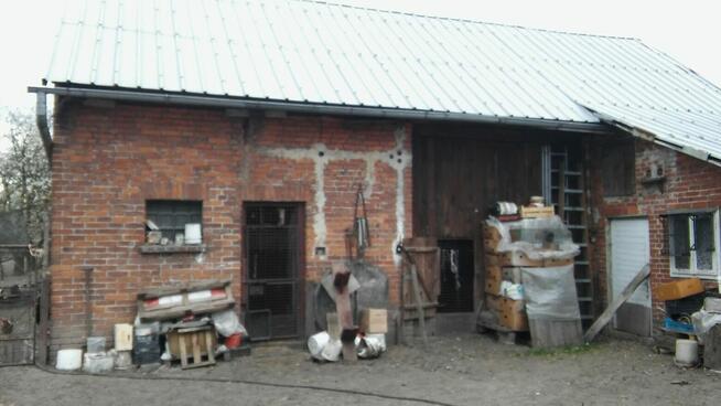 Zlecę rozbiórke starych drewnianych domków