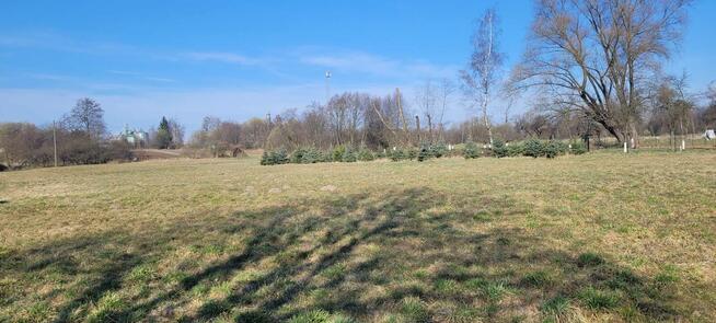 Dom w cichej okolicy