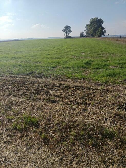 Działka budowlano-Inwestycyjna