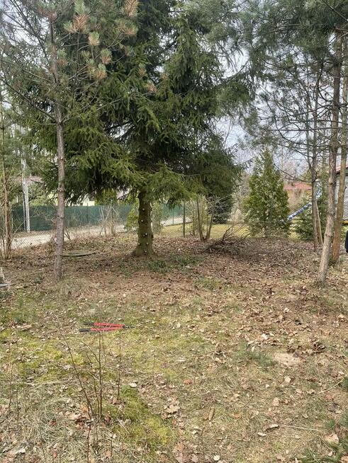 Pielęgnacja ogrodów