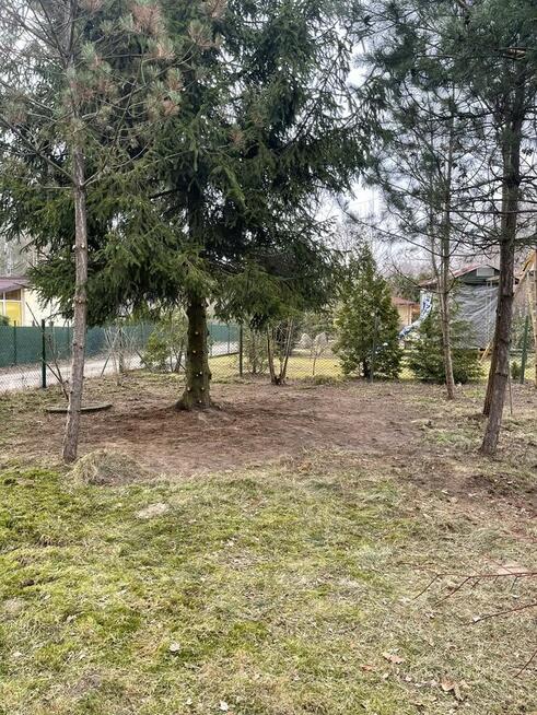 Pielęgnacja ogrodów