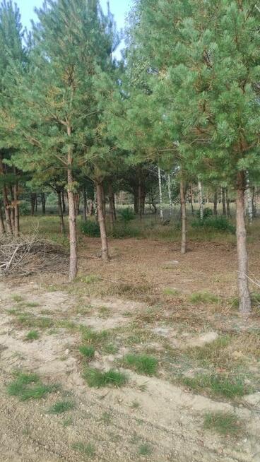 Leśny azyl z dostępem do swojskiego jadła – Smyków k. Rakow