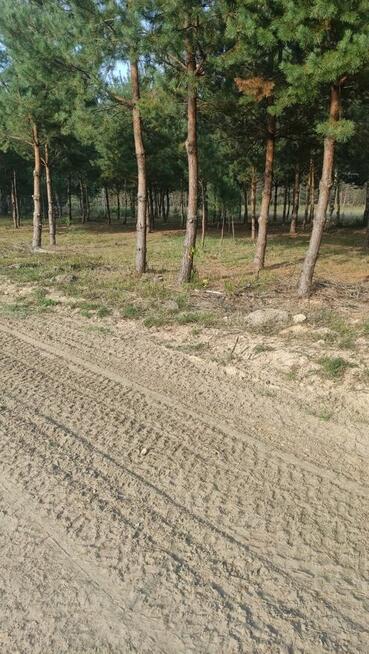 Leśny azyl z dostępem do swojskiego jadła – Smyków k. Rakow