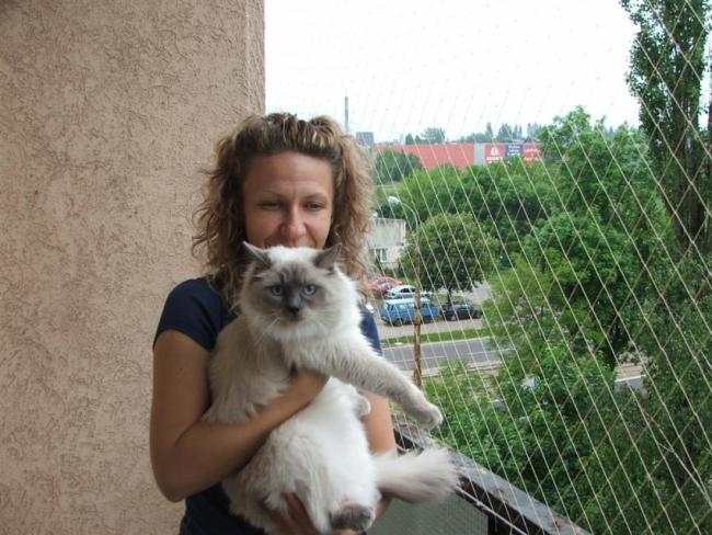 Siatka Dla Kota Zabezpieczy Balkon i Okna Montaż Łódź
