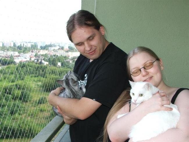 Siatka Dla Kota Zabezpieczy Balkon i Okna Montaż Łódź