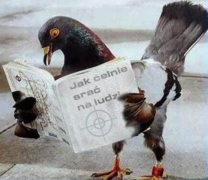 Złota Rączka Łódź Usługi dla Domu Naprawy Domowe