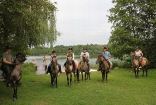 wypoczynek na Kaszubach nad jeziorem koło Bytowa
