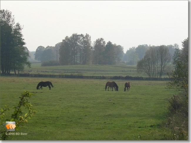 Domek letniskowy na mazurach Wygryny