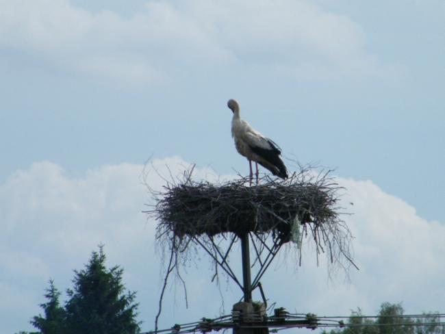 Agroturystyka na Mazurach