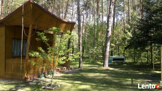 Domek letniskowy ,pokoje goscinne.