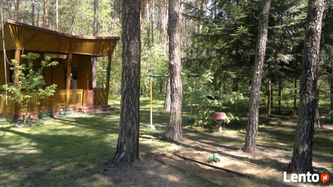 Domek letniskowy ,pokoje goscinne.