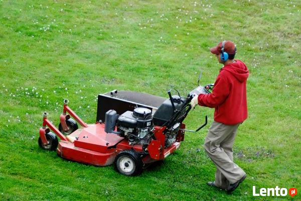 Regeneracja trawników. Usługi ogrodnicze. Trawniki z rolki.