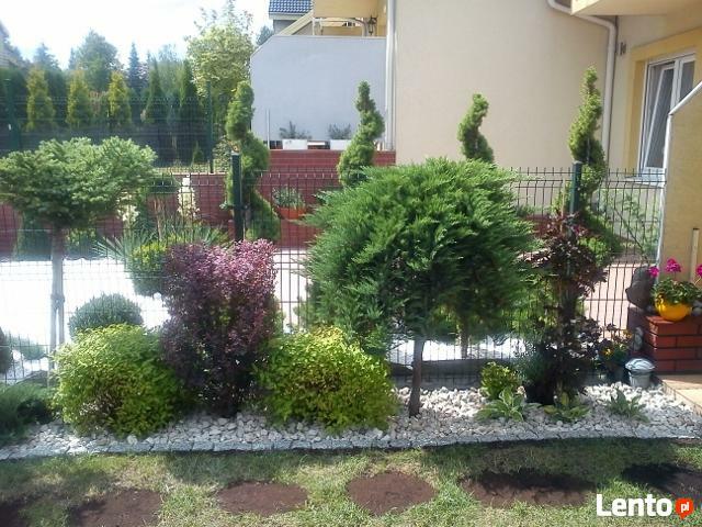 Pielęgnacja, wykonawstwo ogrodów, projektowanie ogrodów