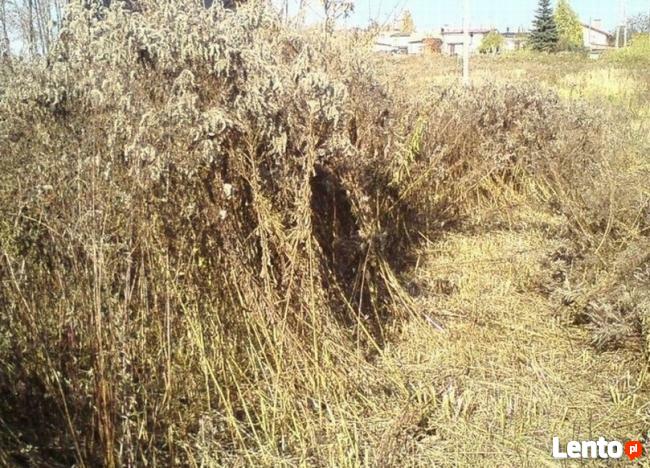 Koszenie trawy Ruda Śląska, Zabrze,Chorzów, Piekary Śląskie