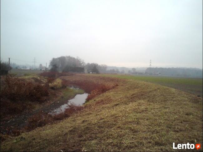 Koszenie trawy Ruda Śląska, Zabrze,Chorzów, Piekary Śląskie