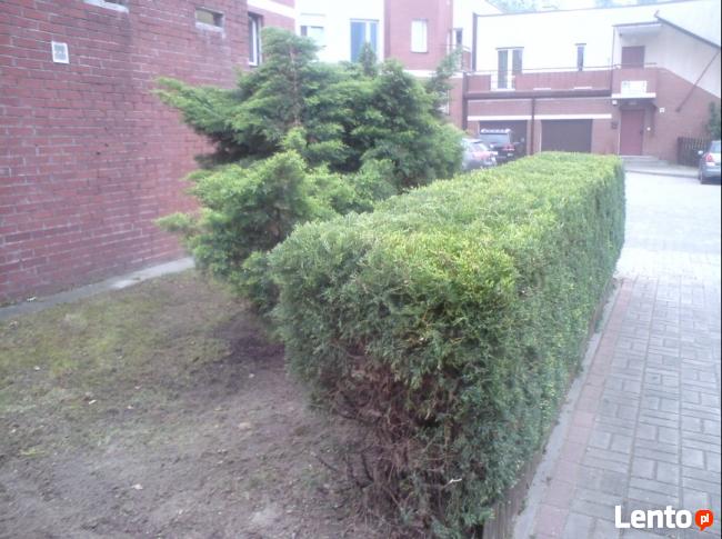 Koszenie trawy Lędziny, Imielin,Chełm Śląski, Oświęcim