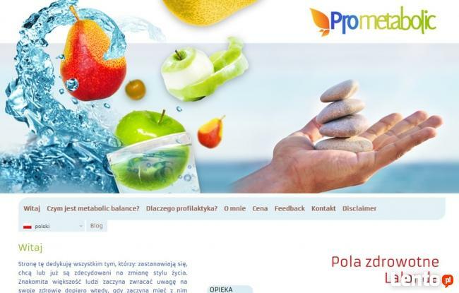 Tworzenie stron internetowych, systemy cms dla firm Warszawa