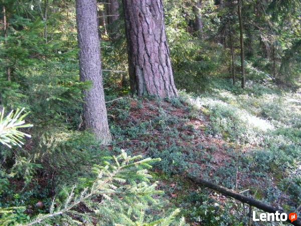 noclegi na Suwalszczyźnie przy trasie Polska-Litwa