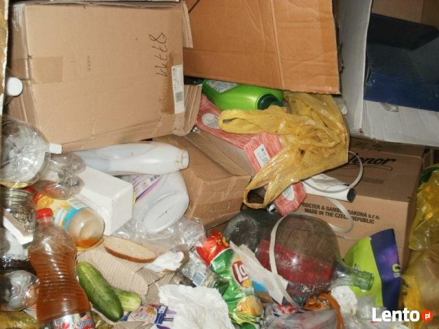 VECTOR W TELEWIZJI TVN