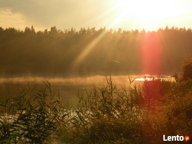 Całoroczny wypoczynek w lesie, nad jeziorem u PI. Minge