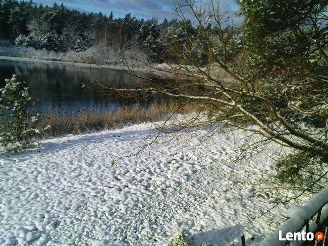 Całoroczny wypoczynek w lesie, nad jeziorem u PI. Minge