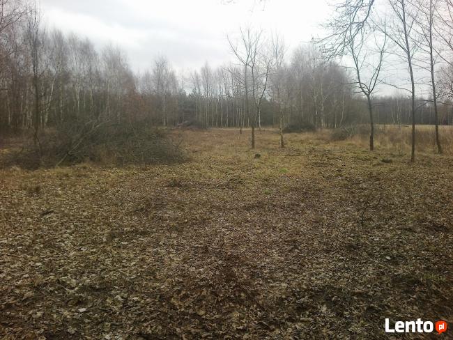 Działka rolno-budowlana 1,6h