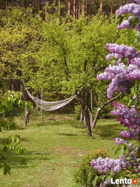 Dom letniskowy przy lesie i blisko jeziora w Lewinku