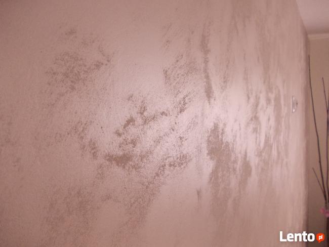 MALOWANIE MIESZKAŃ ,GARAŻY, ALTAN