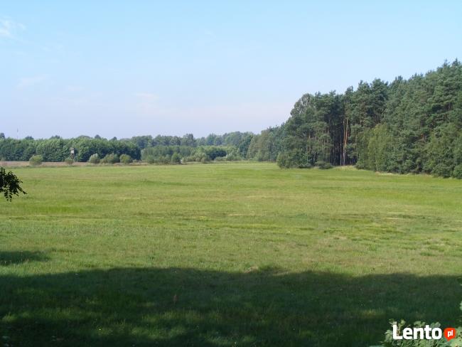 Działka rolna łąka