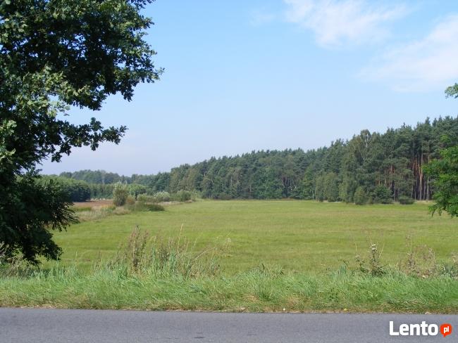 Działka rolna łąka