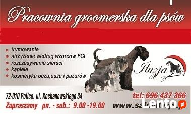 #pielęgnacja# psów#Iluzja# Police