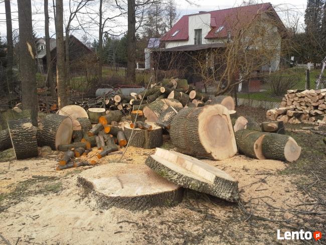 Wycinka, wycinanie drzew, wywóz gałęzi, usługi rębakiem
