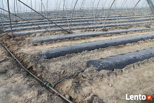 Ogrody, systemy nawadniające, nawodnienie, nawadnianie