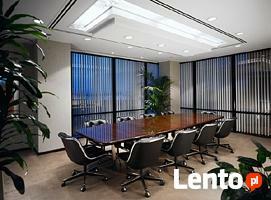 Rośliny doniczkowe i opieka