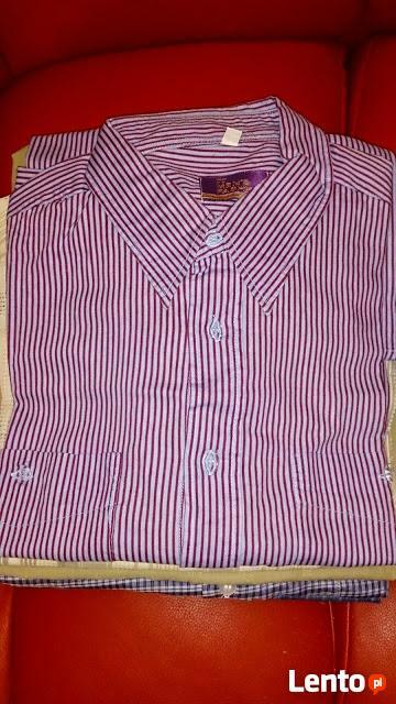 Koszule męskie krótki i długi rękaw