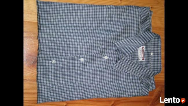 Koszule męskie krótki i długi rękaw