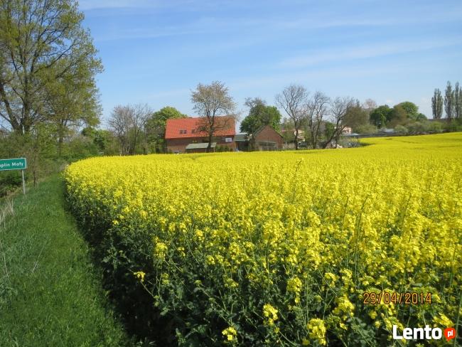Gospodarstwo Turystyczno - Rolne