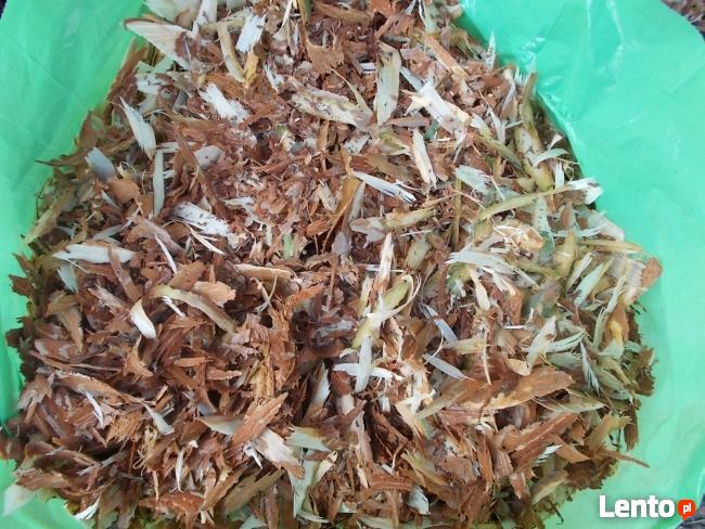 Kora sosnowa drobna.