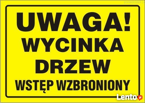 Wycinka Drzew Żarki ,Poraj Zwyżki t:507278093 alpiStar