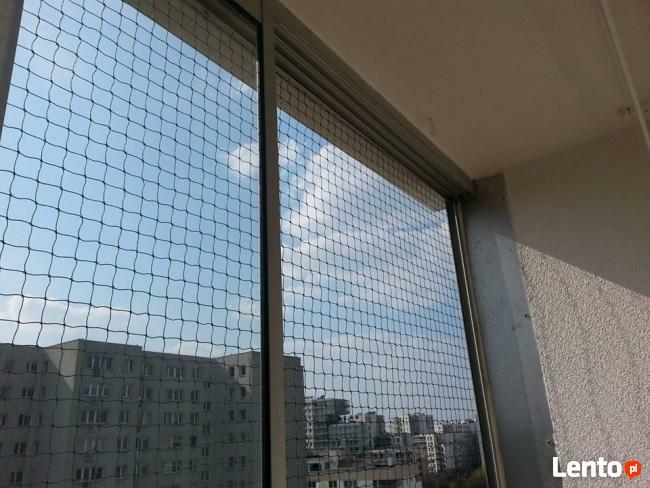 Kocia Siatka dla bezpieczeństwa